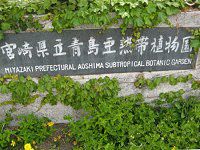 �{�茧�����M�ѐA����