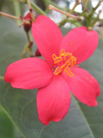 �i�����E�T�N��(��m��)