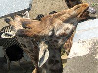 �L����25�i�i�فj