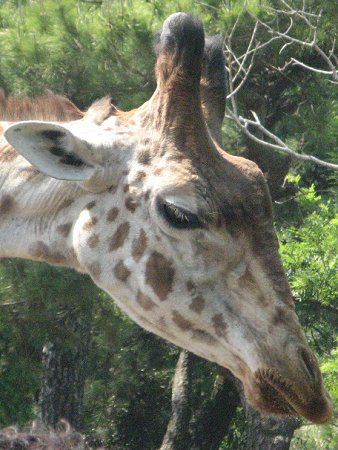 �L����30�i�i�فj