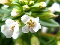 �n�}�{�b�X9�i�l���q)
