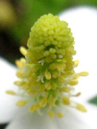 �h�N�_�~21