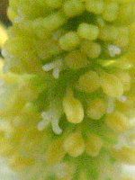 �h�N�_�~23