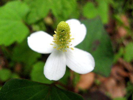 �h�N�_�~23