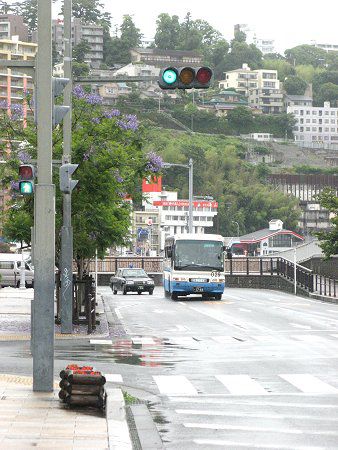 �W���J�����_4(Jacaranda)
