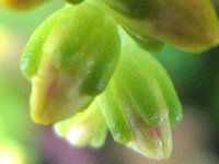 �^�C�g�S��10�i�דl�āj