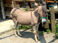 ���o 醔n�j