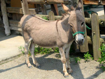 ���o�i醔n�j42
