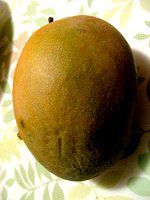 ���L�V�R�}���S�[(Mango)