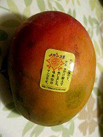 ���L�V�R�}���S�[(Mango)