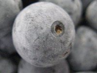 �u���[�x���[��(Blue berry)
