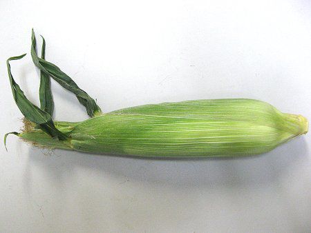 �g�E�����R�V2(��冋o)