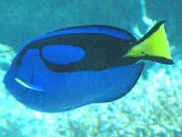 �i�����E�n�M�i��m���j
