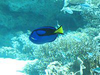 �i�����E�n�M�i��m���j