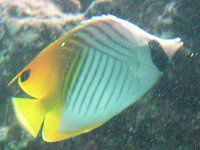 �g�Q�`���E�`���E�E�I
