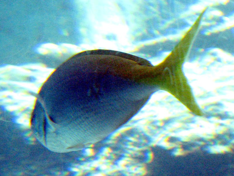 �E���C�����h�L