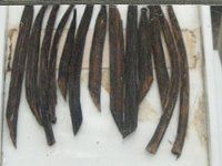 �o�j��(Vanilla)