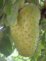 �g�Q�o�����C�V(����䫎})