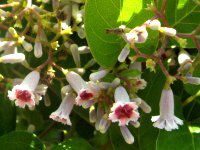 �w�N�\�J�Y��5�i�������j