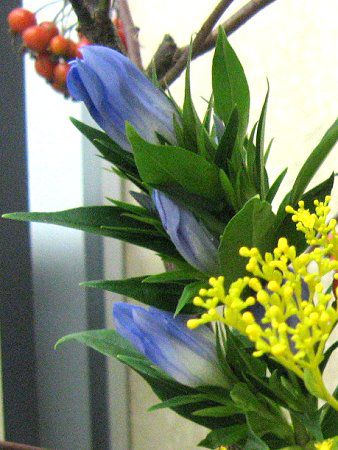 �����h�E15