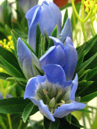 �����h�E21
