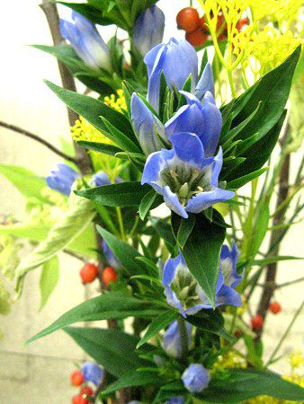 �����h�E15