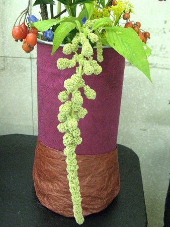 �A�}�����T�X��J�E�_�c�X(Amaranthus caudatus)