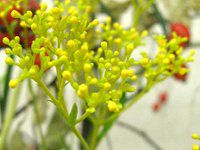 �I�~�i�G�V ���Y��