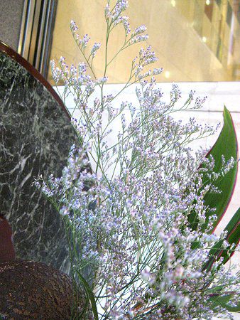 �n�C�u���b�h�E�����j�E��