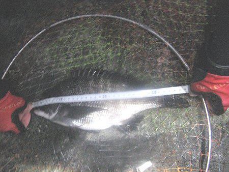 �`�k37cm