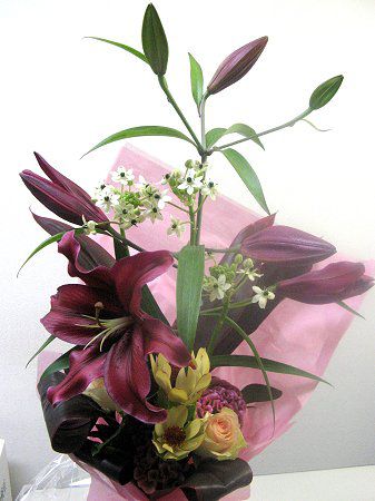 �t�����[�u�[�P1