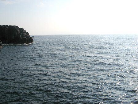 �u�_�C���i����