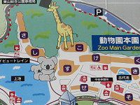 ���R������MAP