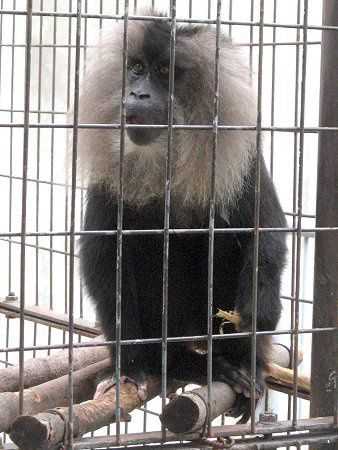 �V�V�I�U��(���q����)