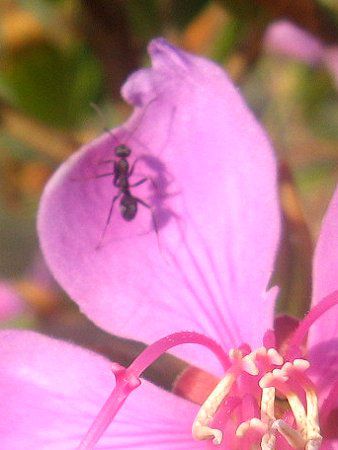 �m�{�^���E���g���G���W�F��8