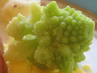 ���}�l�X�R