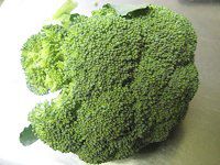 �u���b�R���[�iBroccoli�j