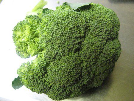 �u���b�R���[�iBroccoli�j