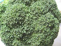 �u���b�R���[�iBroccoli�j