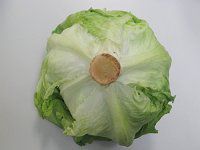�^�}�`�V��