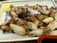 �X�����C�J�E�J���A�Q�i�ƉG�����g�j