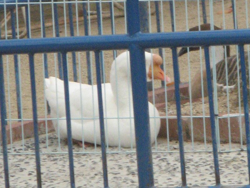 �K�`���E
