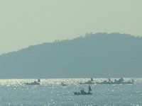 landscape1