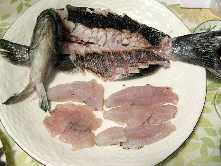 �މʂ̒�����