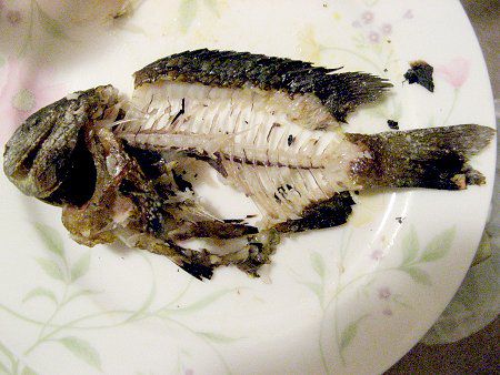 �މʂ̒�����|�H��