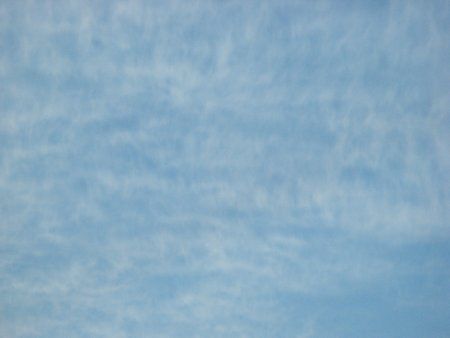 �P���E���i���_�ACi�j2