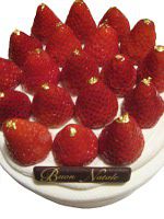 xmas�P�[�L