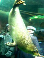�S�}�t�A�U���V8(�Ӗ����C�^)