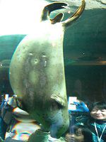 �S�}�t�A�U���V9(�Ӗ����C�^)