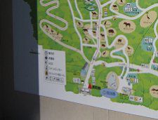 ��������map21